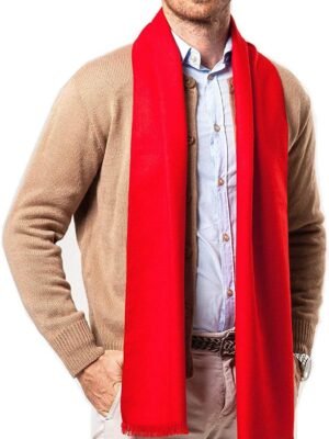 Men's Fashion Scarves for Winter Cashmere Feel Scarf for Men 70.8 * 11.8 IN